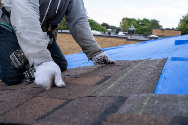 Best Roof Leak Repair  in Lambert, MS