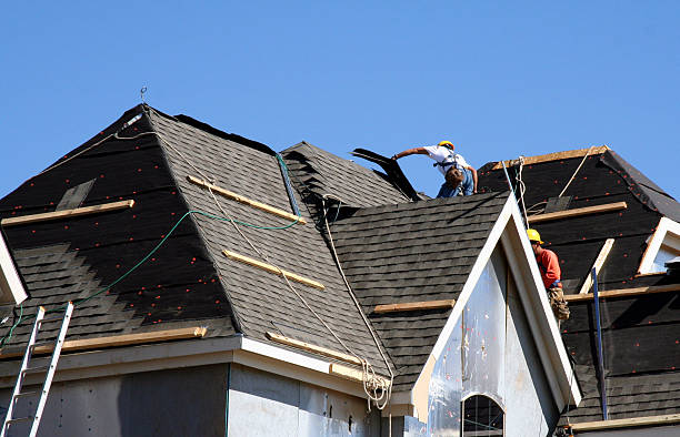 Best Roof Gutter Cleaning  in Lambert, MS